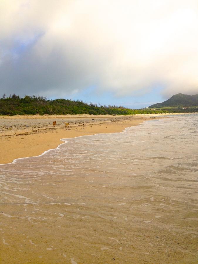 Nata Beach Villa Ishigaki  Eksteriør bilde